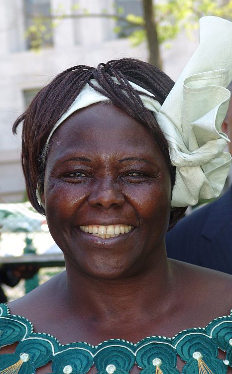 A photo of Wangari Maathai, an environmental and human rights activist from Kenya, known for founding the Green Belt Movement and advocating for environmental conservation and women's rights.