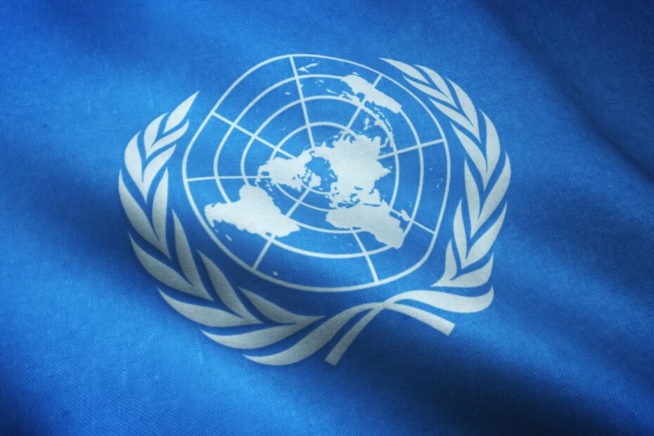 United Nations Flag and Emblem Logo